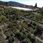 2d8041fa-0c9f-45be-822c-8084b5a5a7d2