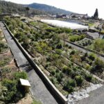 5343ddd2-b7e1-4f3a-8b4b-90176d6f8e42